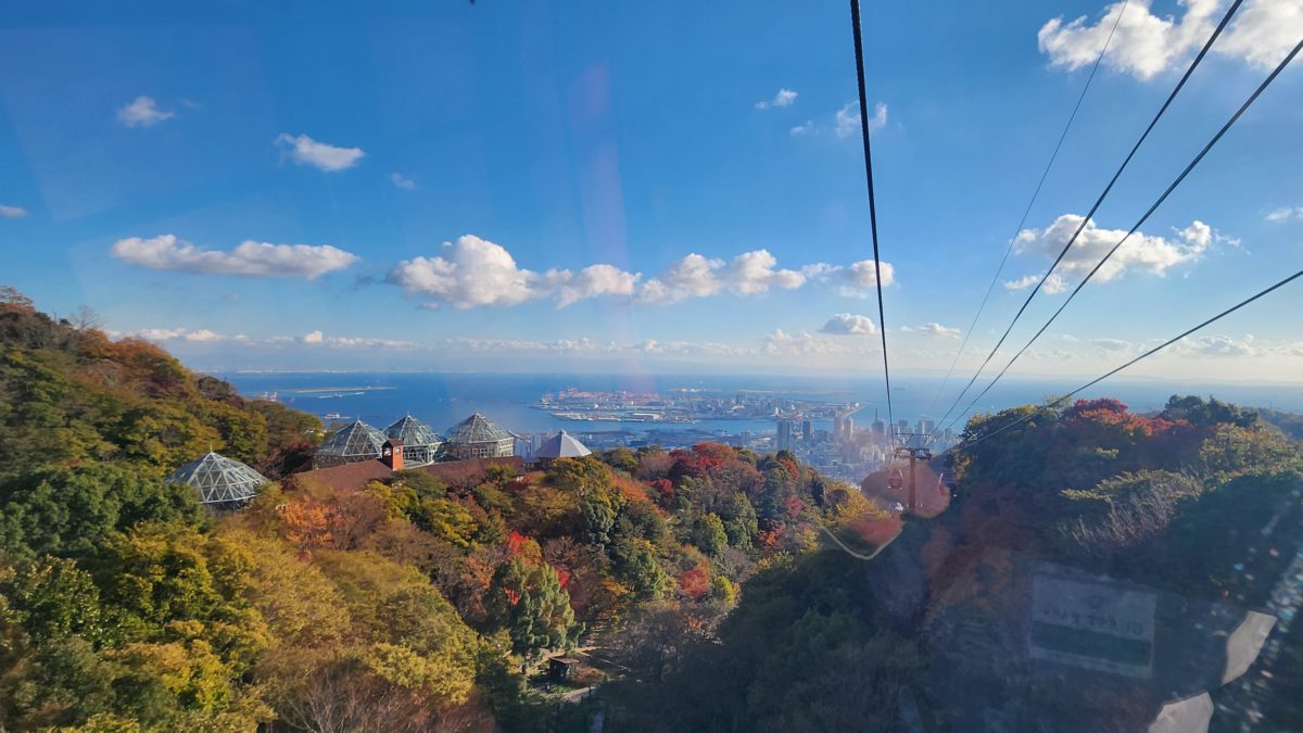 神戸の公園で発生した漏水事故！迅速な調査で公園の運営再開を支援